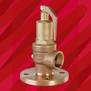 Fig 542F Safety Relief Valve