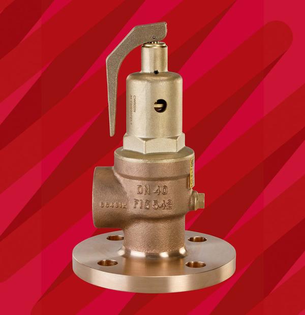 Fig 542F Safety Relief Valve